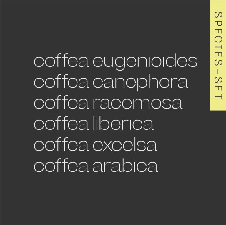 A.M.O.C. Species Set