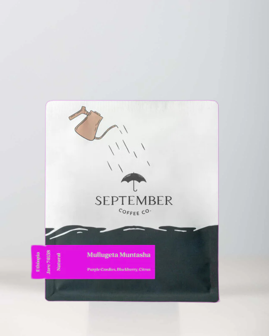 September Coffee - Mullugeta Muntasha - Natural 2025