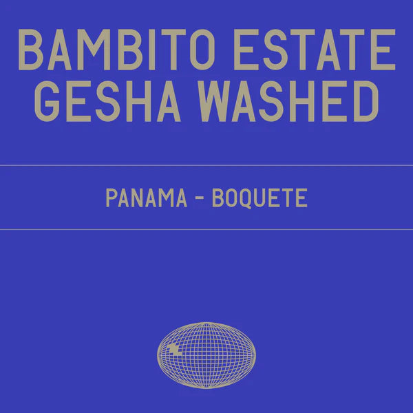 Datura Bambito Estate Gesha Washed