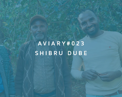 SHIBRU DUBE AVIARY