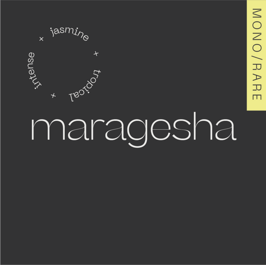 A.M.O.C. Maragesha