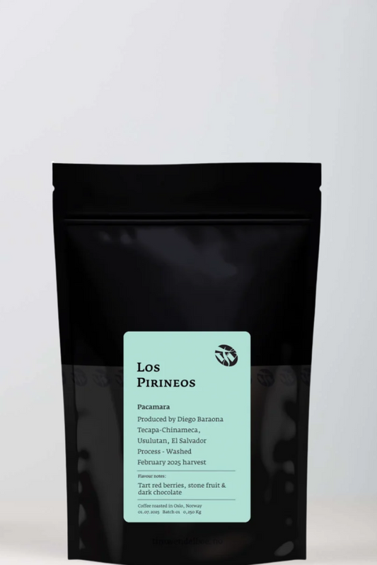 TIM WENDELBOE Los Pirineos Pacamara