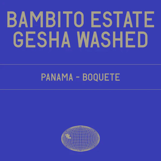 Datura Bambito Estate Gesha Washed
