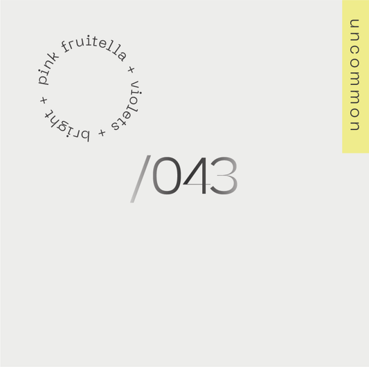 A.M.O.C. /043 Peru — Herlin