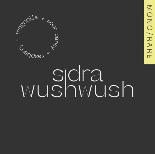 A.M.O.C. Sidra | Wush Wush